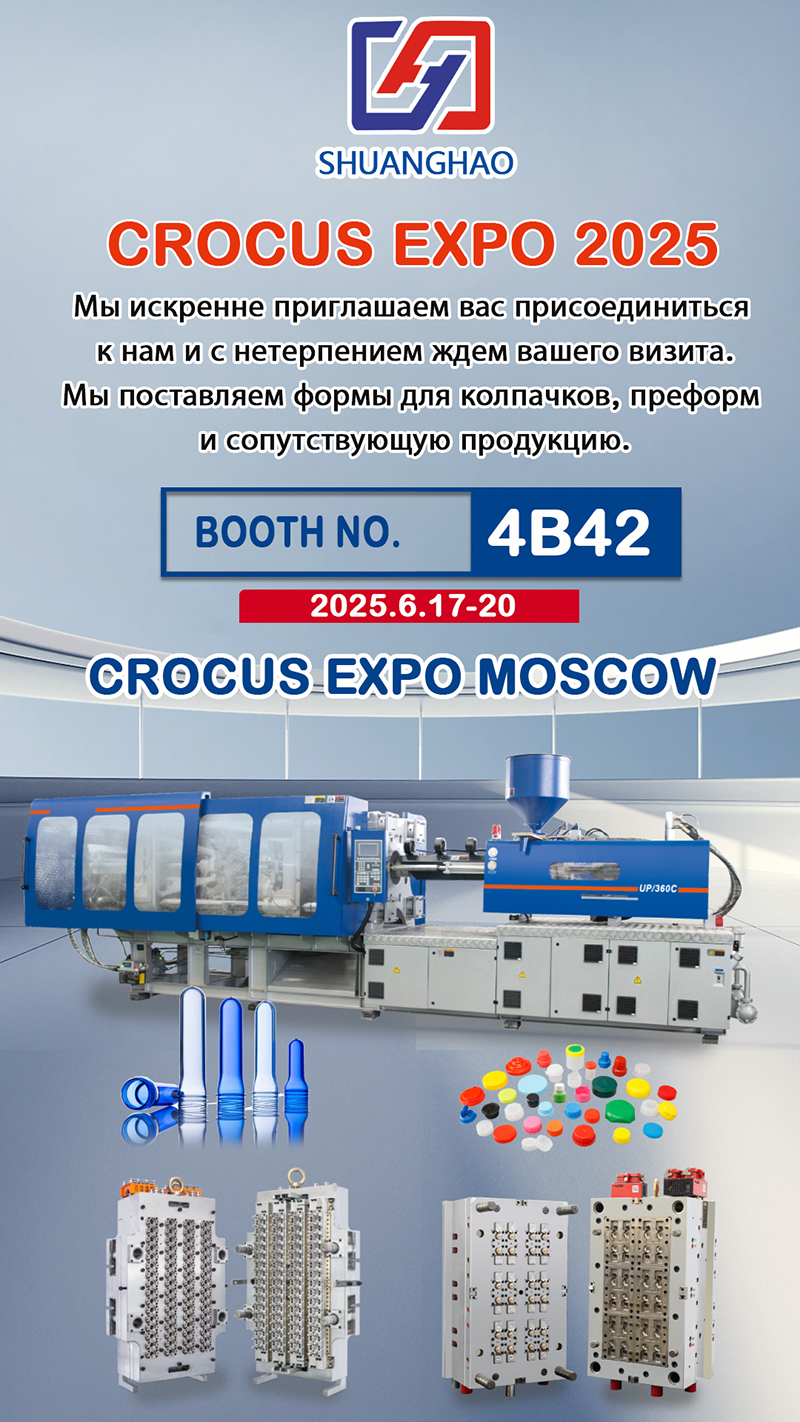 Shuanghao Mould: Your Premier Partner for Prec...